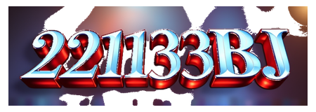221133bj logo